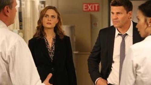 Bones Season 9 Episode 21 - The Cold in the Case
