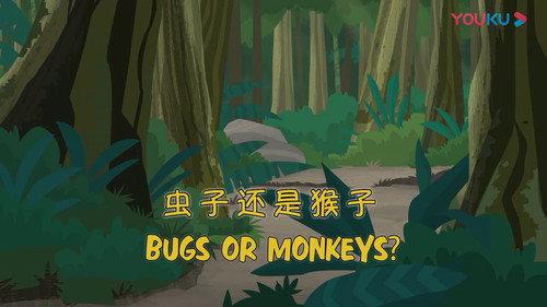 Wild Kratts Season 2 Episode 22 - Bugs or Monkeys?