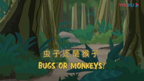 Wild Kratts Season 2 Episode 22 - Bugs or Monkeys?
