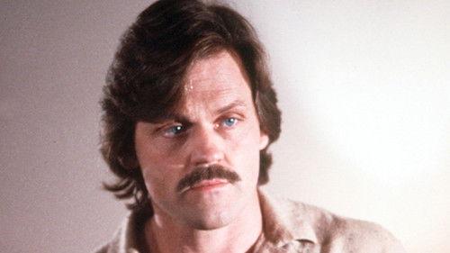 undefined Season 4 Episode 15 - A Glowing Future