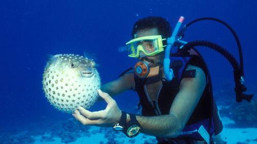 Nature Season 23 Episode 9 - The Venom Cure