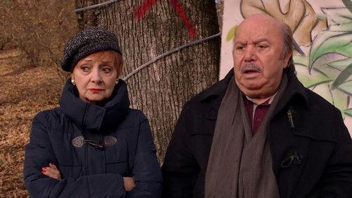 A doctor in the family Season 10 Episode 10 - Save the forest! / Rocco 2 - The return