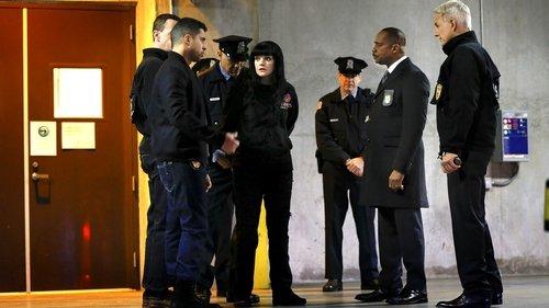NCIS Season 14 Episode 15 - Pandora's Box (I)