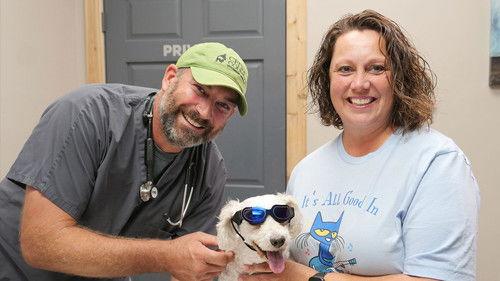 Heartland Docs, DVM Season 4 Episode 11 - Heart and Foal