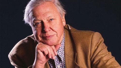 The Life of Mammals Season 1 Episode 1 - A Winning Design