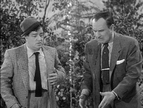 The Abbott and Costello Show Season 2 Episode 14 - Wife Wanted