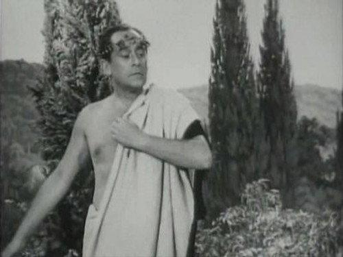 The Beverly Hillbillies Season 1 Episode 10 - Pygmalion and Elly