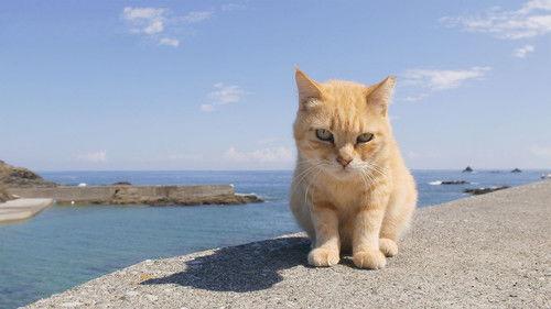 NHK WORLD PRIME Season 7 Episode 6 - Raising a Family on Cat Island
