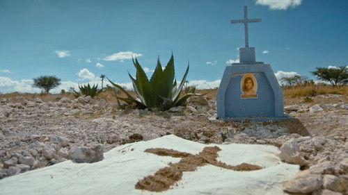 De Mol Season 6 Episode 1 - Episode 1