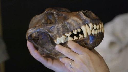 The Secret of Skinwalker Ranch: Behind The Gate Season 5 Episode 4 - Simply the Beast