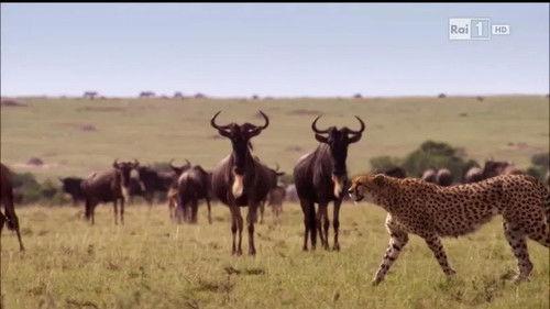 Superquark Season 23 Episode 5 - Episode 5