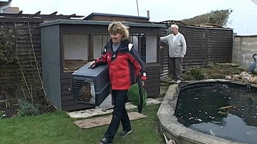 Monkey Business Season 8 Episode 9 - Episode 9