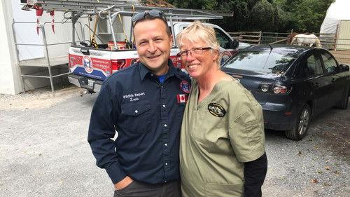 Louis and the Urban Jungle Season 1 Episode 9 - Episode 9