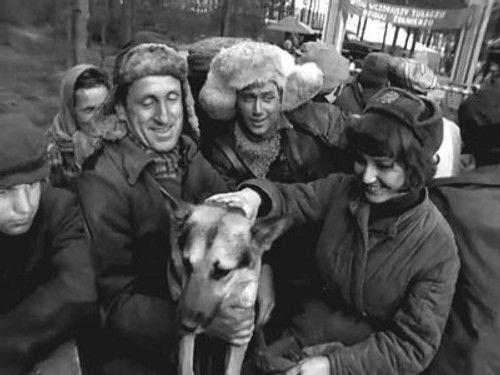 Four Tank-Men and a Dog Season 1 Episode 1 - Zaloga