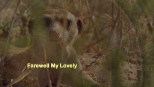 Meerkat Manor Season 3 Episode 10 - Farewell, My Lovely