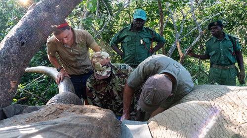 Malawi Wildlife Rescue Season 1 Episode 5 - Creatures Great and Small