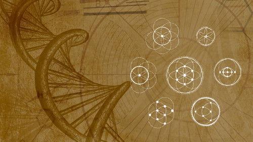 Inner Evolution Season 1 Episode 12 - Harmonious Fractals