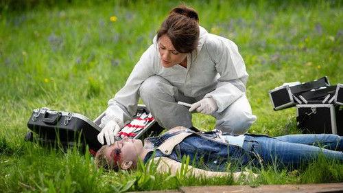 Hubert und Staller Season 8 Episode 13 - Episode 13