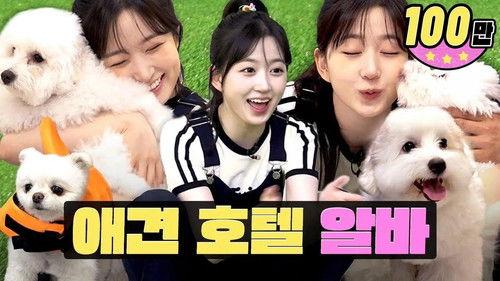 worK-dol Season 2 Episode 14 - So cute I want to bite them... but stop, Oh Haewon!ㅣWorkdolㅣPet HotelㅣPuppiesㅣNMIXX Haewon