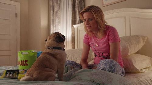 Lady Dynamite Season 2 Episode 2 - Hypnopup