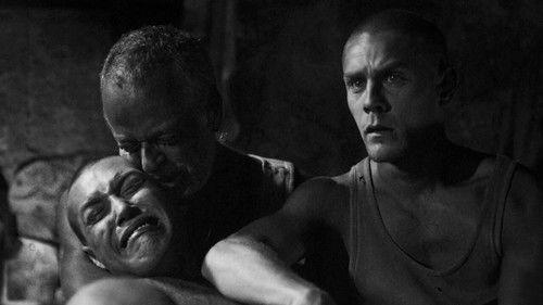 Nights in Tefía Season 1 Episode 1 - Episode 1