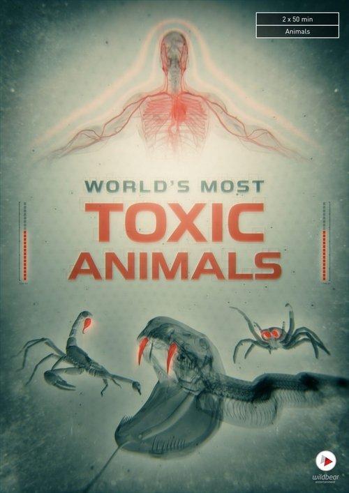 World's Most Toxic Animals poster