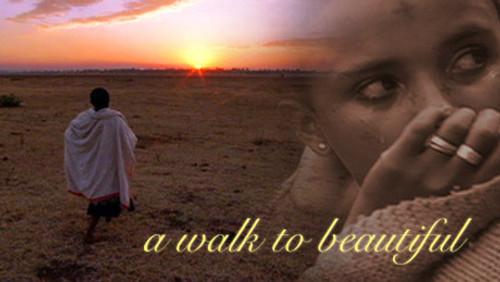 NOVA Season 35 Episode 16 - A Walk to Beautiful