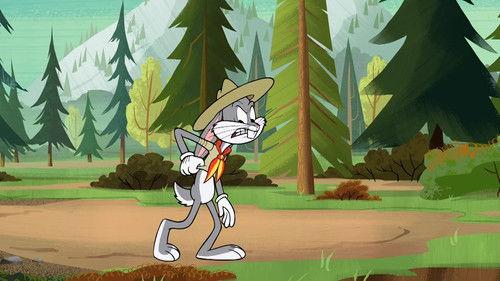 New Looney Tunes Season 1 Episode 58 - Bug Scouts