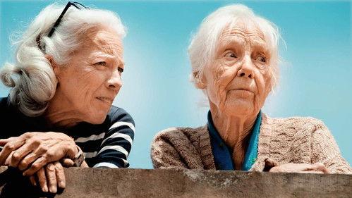 Der letzte Wille Season 1 Episode 1 - Episode 1