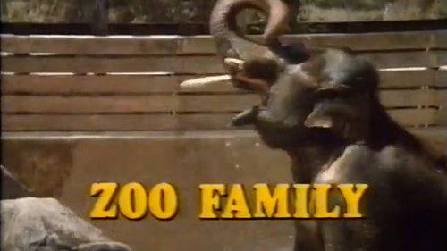 Zoo Family Season 1 Episode 3 - Seal Song