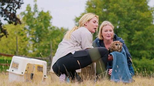 Joanna Page's Wild Life Season 1 Episode 15 - Episode 15