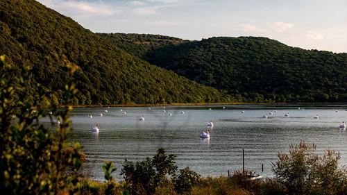 Wie is de Mol? Season 22 Episode 5 - Episode 5