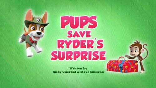 PAW Patrol Season 7 Episode 20 - Pups Save Ryder's Surprise