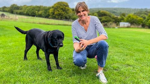 Money for Nothing Season 14 Episode 1 - Episode 1