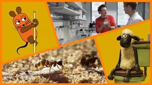 Die Sendung mit der Maus Season 54 Episode 25 - Episode 25