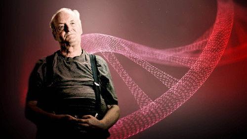 ARD Crime Time Season 7 Episode 3 - Episode 3