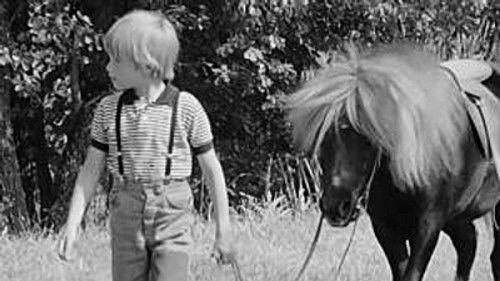 Poly Season 6 Episode 2 - Episode 2