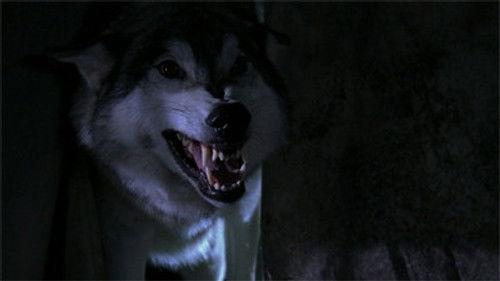 Heartland Season 3 Episode 11 - Catch and Release