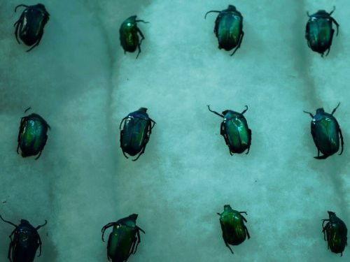 Whitechapel Season 3 Episode 4 - Episode 4