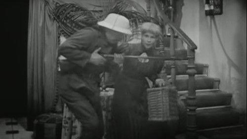 Swiebertje Season 2 Episode 7 - Meneer de baron komt thuis