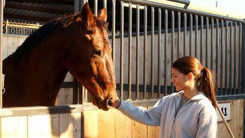 Wildfire Season 1 Episode 1 - Pilot