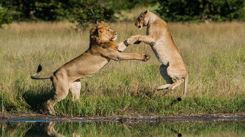 Savage Kingdom Season 2 Episode 1 - The Enemy Within