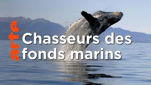 Genius Sea Hunters Season 1 Episode 1 - Genius