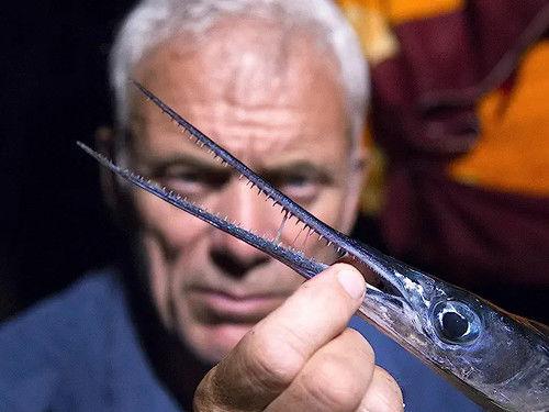 River Monsters Season 9 Episode 3 - Coral Reef Killer