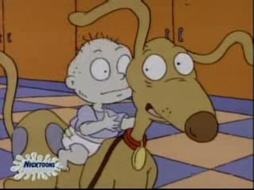 Rugrats Season 2 Episode 22 - The Dog Broomer