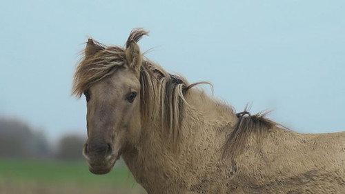 Countryfile Season 38 Episode 9 - Humber Estuary