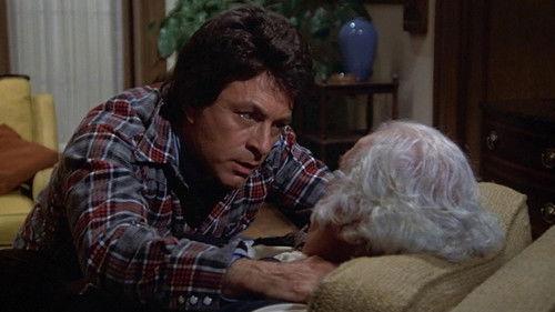 The Incredible Hulk Season 1 Episode 6 - Terror in Times Square