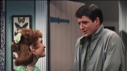 Petticoat Junction Season 6 Episode 3 - Only a Husband