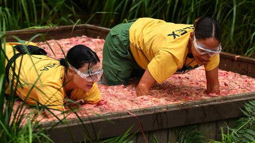 I'm a Celebrity...Get Me Out of Here! Season 25 Episode 7 - Tents of Torment