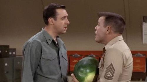 Gomer Pyle, U.S.M.C. Season 3 Episode 6 - How to Succeed in Farming Without Really Trying